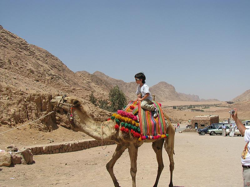 Sharm-el-Sheikh 238.jpg - Katharinen-Kloster & Mosesberg
St. Catherine monastery - Mount Sinai - Moses Mountain
Egypt - Sinai